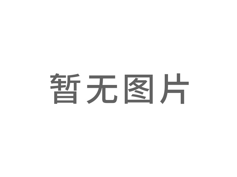 130ZYT永磁直流電機